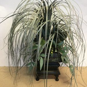 BOMBAY Beautiful Potted Plant centerpiece